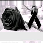 Elma Ortiz - @elmaortiz57 - Instagram