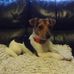 Elma Paterson - Facebook