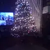 Ms Elma - @wardelma - TikTok