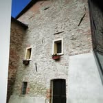elmar Werner - @elmar.werner - Instagram