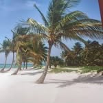 Elmar Werner - @elmarwerner - Instagram