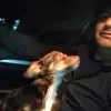 el marruy - @el.marruy - TikTok