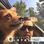 Elmar Uy 黃以禮 - @youwhy - Instagram
