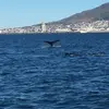 Elmaree Williams - @elmaree.williams - TikTok