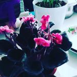 Elmas Bilgin - @elmasbilgiin - Instagram