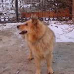 Elmas Sert - @elmas.sert.12 - Instagram