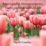 Elmas Sertkaya - @elmas.sertkaya.370 - Instagram