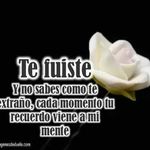 Elmer Abel Pozo Correa - @elmerabelpozocorrea - Instagram