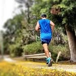 Elmer Abraham - @elmer.abraham - Instagram