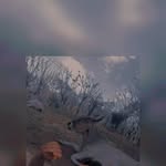 Elmer Alberto - @elmer.alberto.566 - Instagram