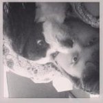 Elmer Alex - @elmerr1live - Instagram