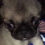 Elmer Allen Poe - @elmerkyoass - Instagram