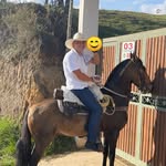Elmer Ceballos - @ceballos.elmer - Instagram