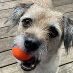 Elmer Loves Balls - @elmerlovesballs - Instagram