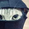 Mr. Beasly - @mr.beasly1 - TikTok