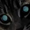 Elmer Cisneros - @elmer.cisneros78 - TikTok