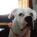 Elmer Dodson - Facebook