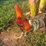Elmer Galvan - Facebook