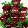 EM RZ - @elmerguillermo3 - TikTok
