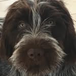 Elmer Hall - @da_bestest_one - Instagram