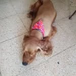 Vielka Espinosa - @elmer.hall.90 - Instagram