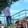 Elmer Herrera - @elmerherrera21 - TikTok