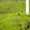 Elmer Javier - @elmer.javier28 - TikTok