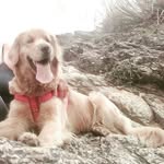 Elmer Javier Triana - @javier_chikano - Instagram