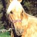Elmer Keller - Facebook