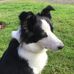 Elmer Kinder - Facebook