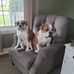 Kirk Helmer - Facebook