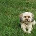 Elmer Lapp - Facebook