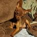 Elmer Leach - Facebook