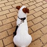 Elmer León - @elmer__leon - Instagram