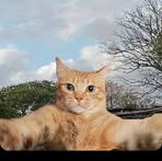 Elmer May - Facebook