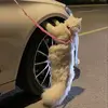 Elmer  Mcdowell - @elmer.mcdowell - TikTok