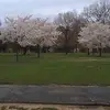 Elmer Miranda - @elmer.miranda6 - TikTok