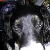 Elmer Mitchell - @elmer.mitchell92 - TikTok
