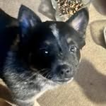 Elmer Nelson - @elmernelson0642 - Instagram