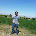 @elmer_oliver - Instagram