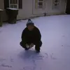 elmerottonielchoj - @elmerottonielchoj - TikTok