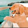 user1254327522472 - @elmercgd_fan_page - TikTok