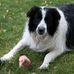 Elmer Payne - Facebook