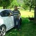 Elmer Polanco - Facebook