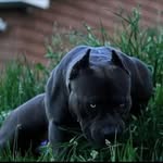 Elmer Polanco - @polanco_elmer - Instagram