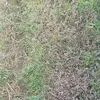 Elmer Polanco - @elmer.polanco90 - TikTok