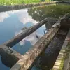 Elmer Polanco - @elmer.polanco0 - TikTok