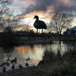 @elmer_porter - Instagram