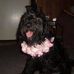 Elmer Powers - Facebook