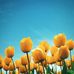 Elmer Prather - Facebook